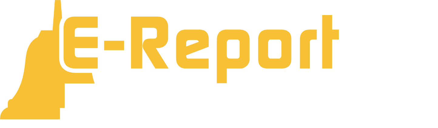 Logo E-Report